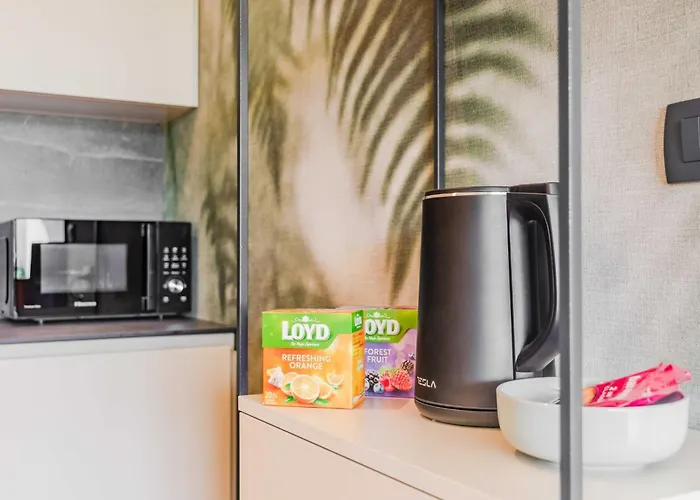 Chic With Sauna - One Bedroom With Balcony